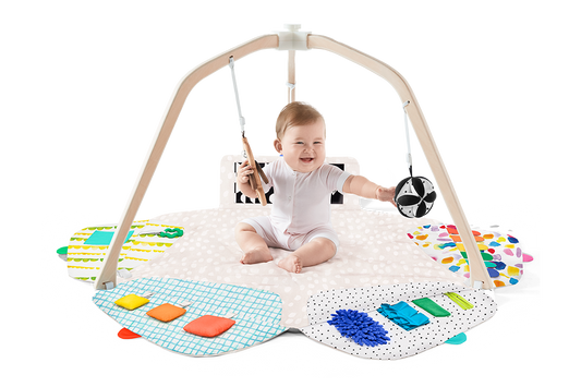 The Play Gym - Baby Activity & Tummy Time Mat
