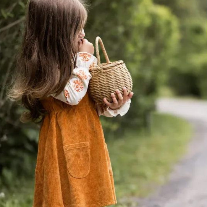 Organic Toddler Pocket Dress - Ginger Floral