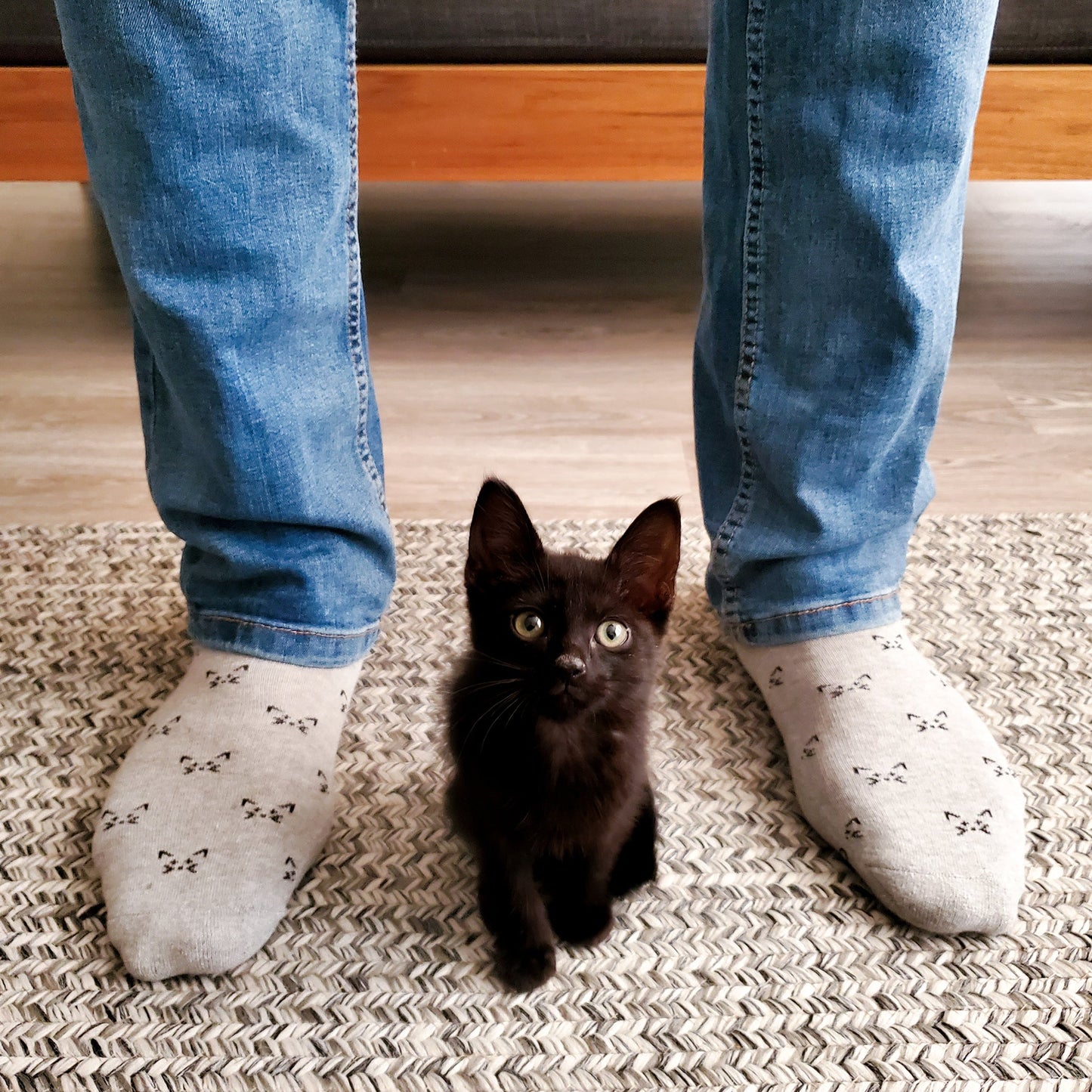 Adult Socks that Save Cats