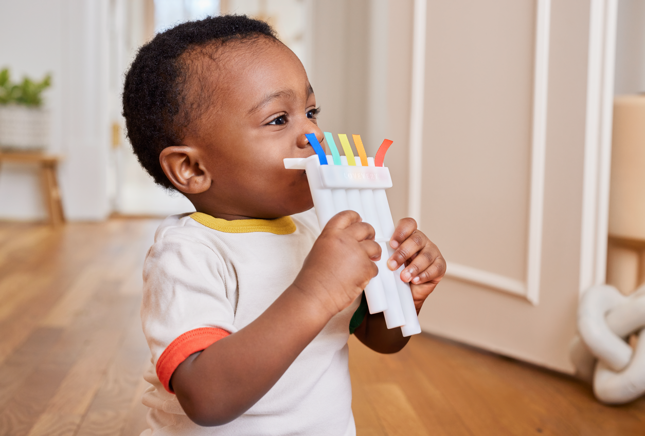The Music Set - Instrumental Toys for Kids