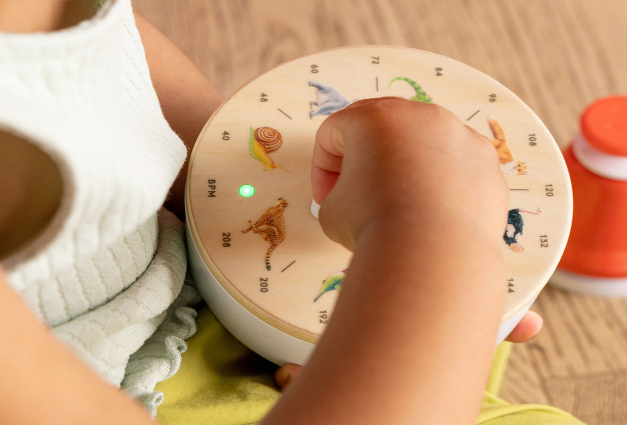 The Music Set - Instrumental Toys for Kids