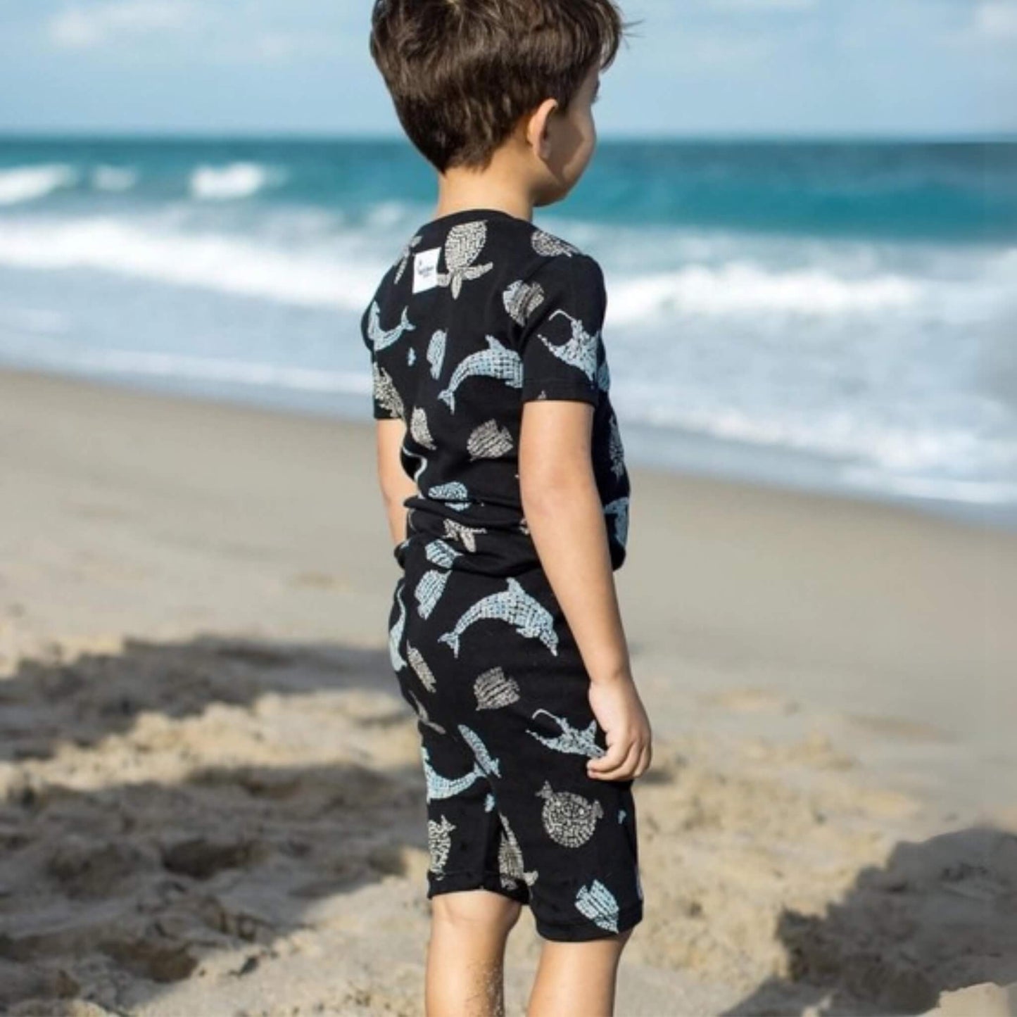 2 Pack Organic Toddler & Kid PJ Set - Mosaic Sea Animals & Blue Stripe