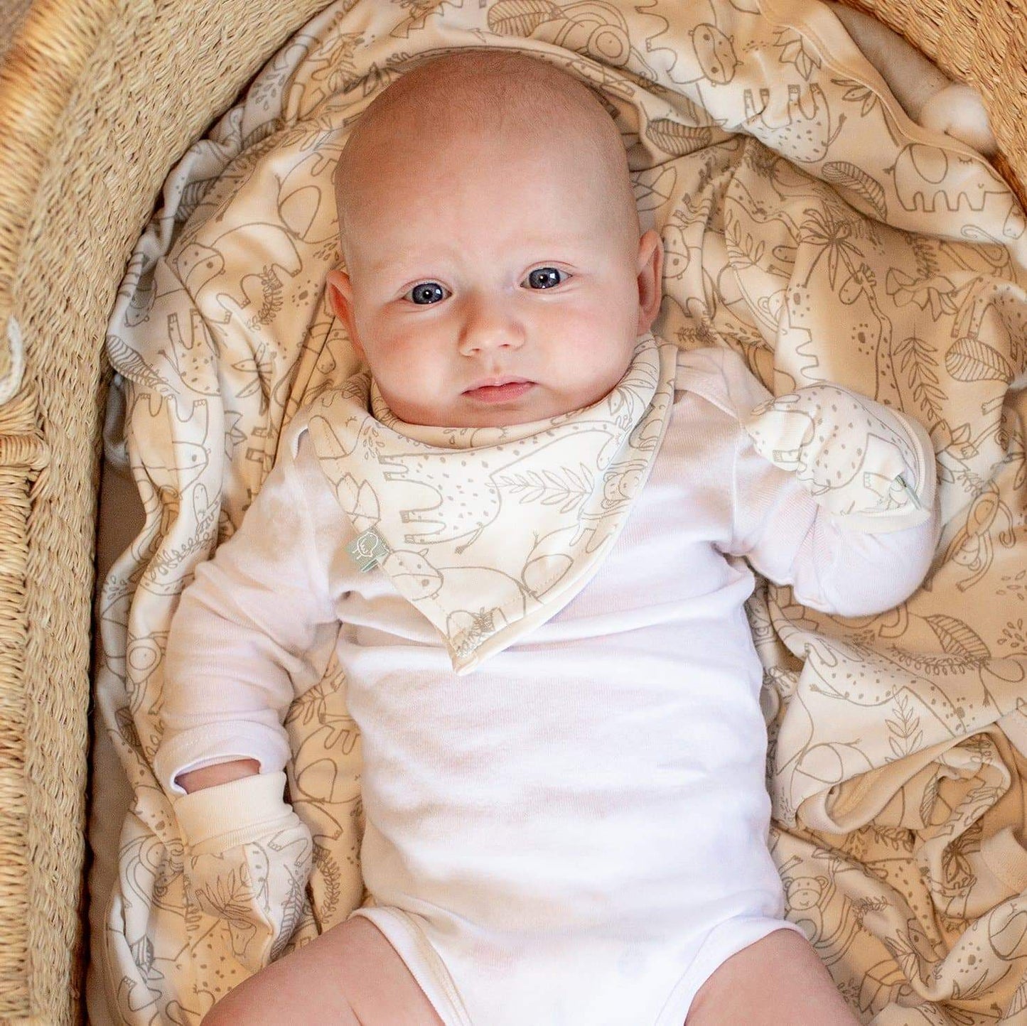 Organic Baby Mittens - Celestial