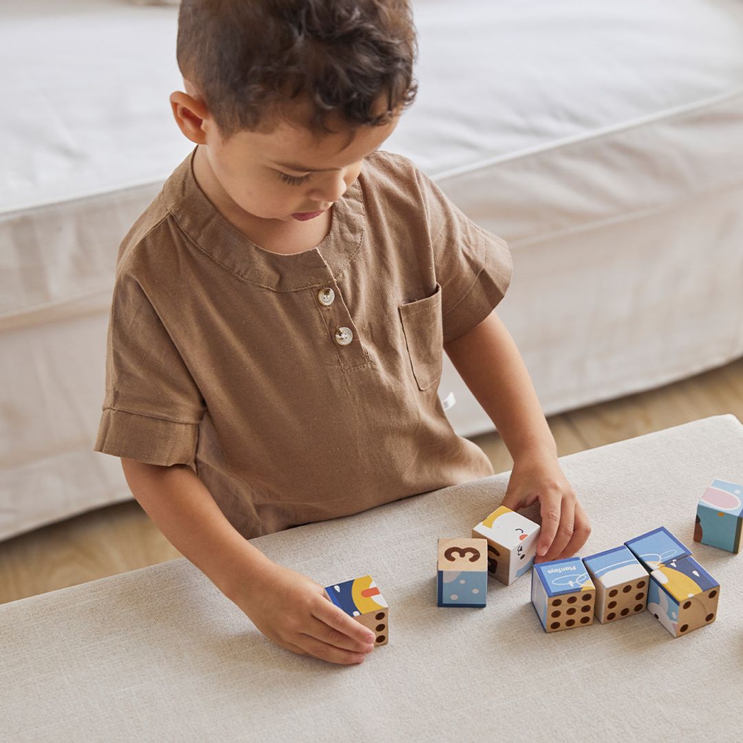 Wooden Animal Puzzle Cubes