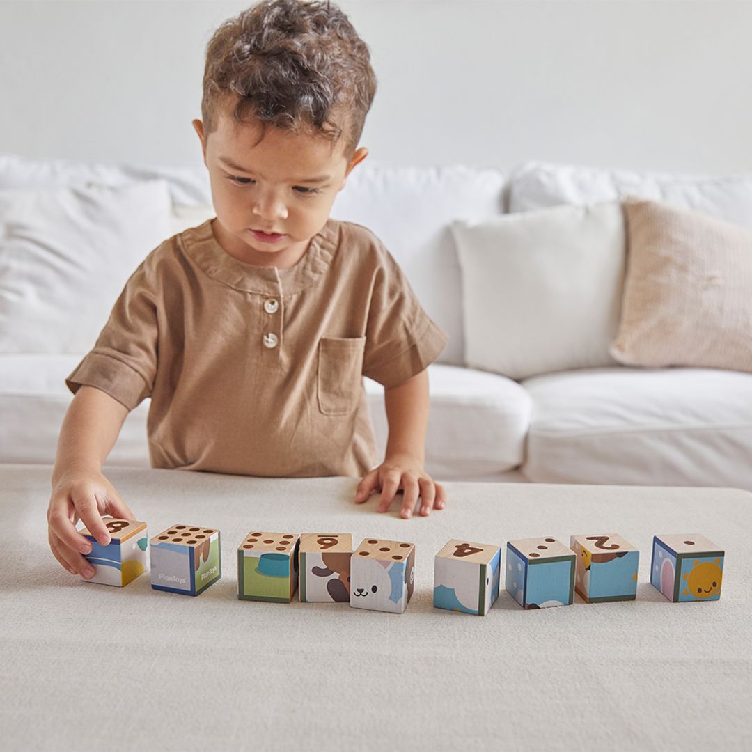 Wooden Animal Puzzle Cubes