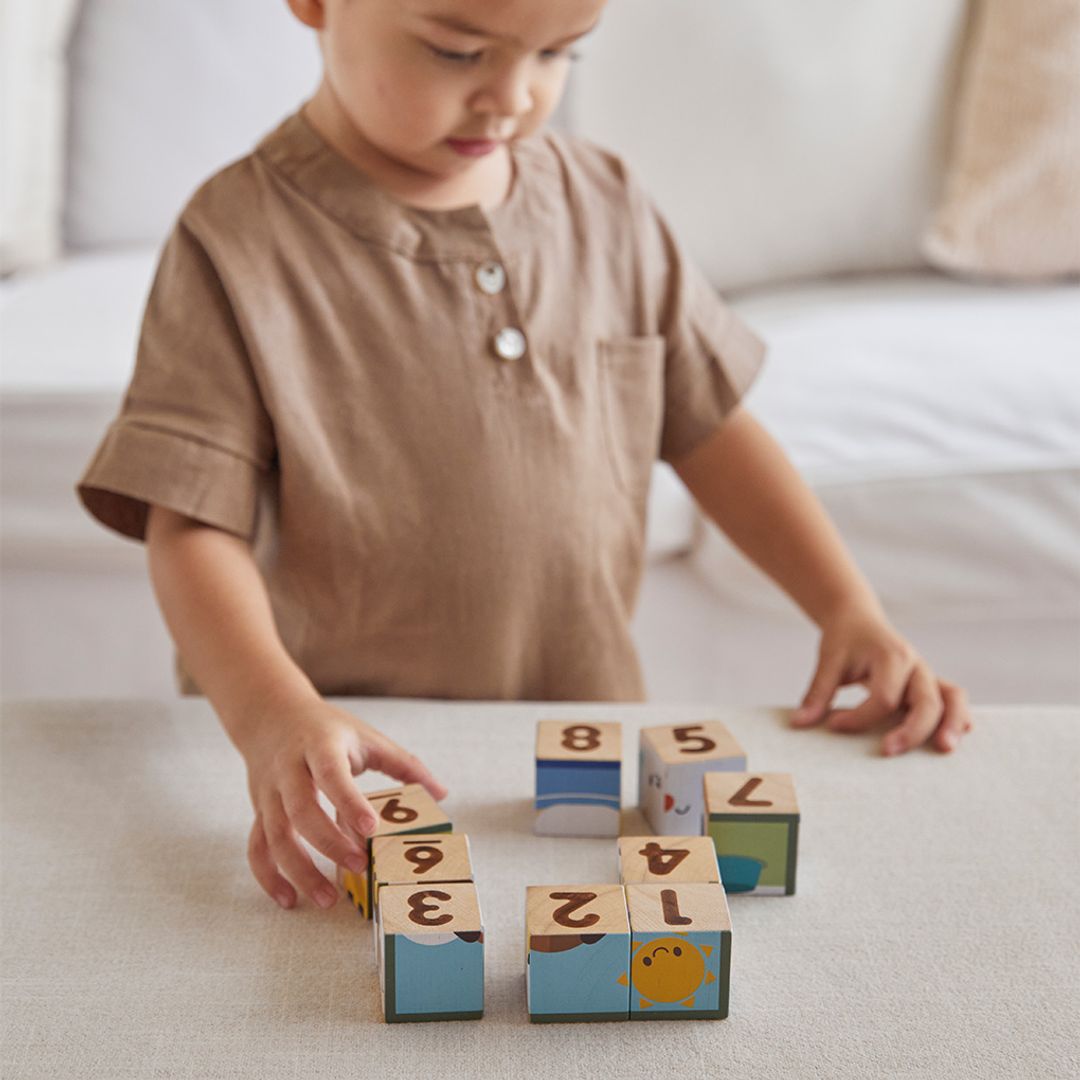 Wooden Animal Puzzle Cubes
