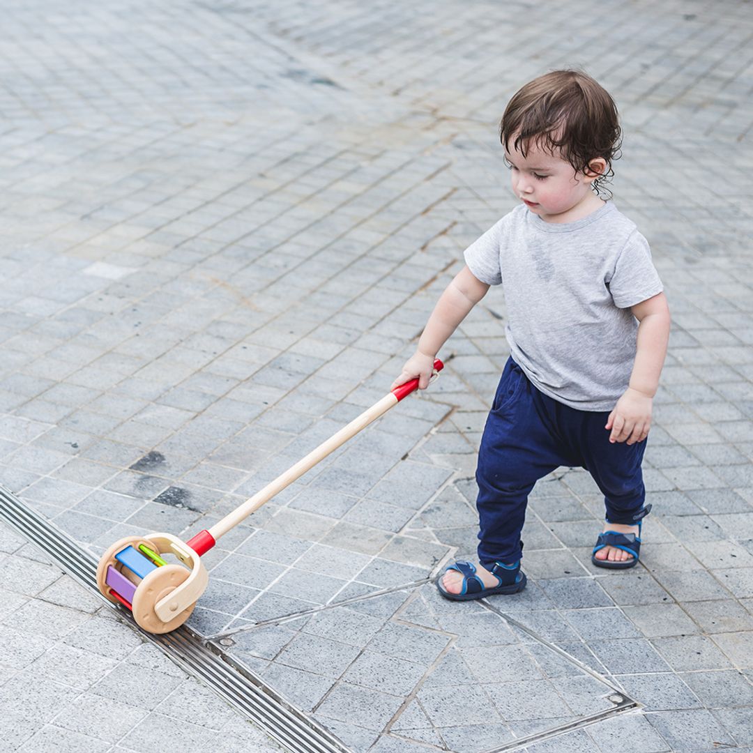 Wooden Toy Walk N Roll