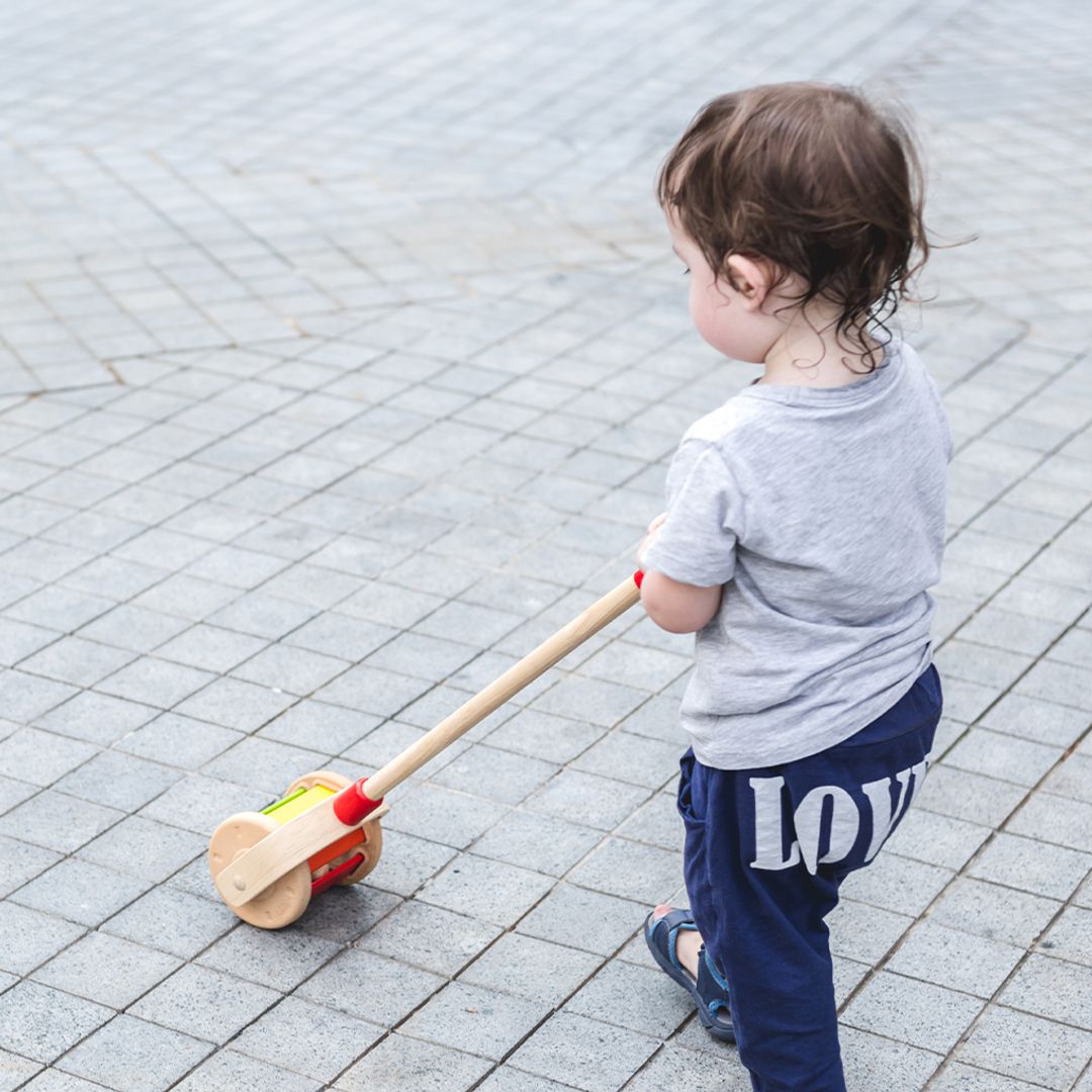 Wooden Toy Walk N Roll