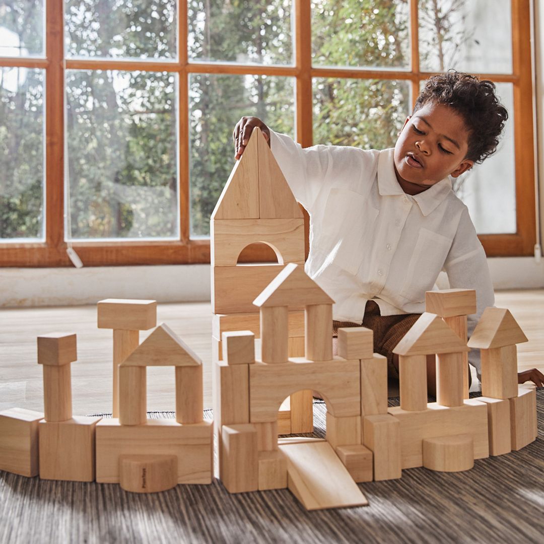 50 Unit Blocks - Wooden Toy Set
