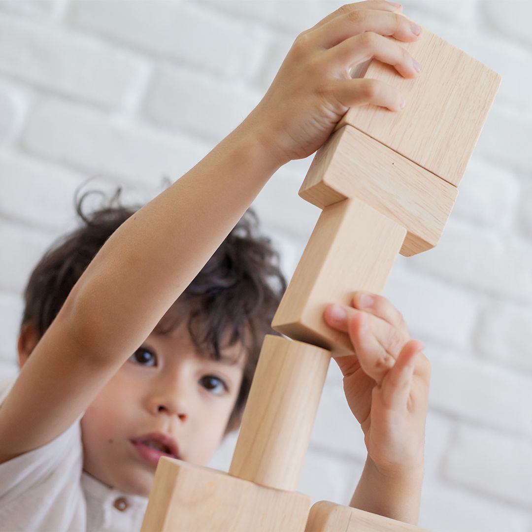 50 Unit Blocks - Wooden Toy Set