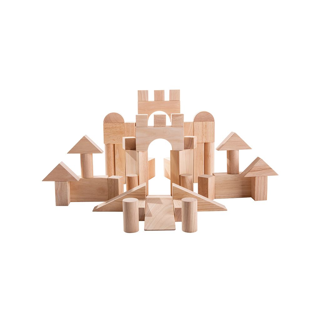 50 Unit Blocks - Wooden Toy Set