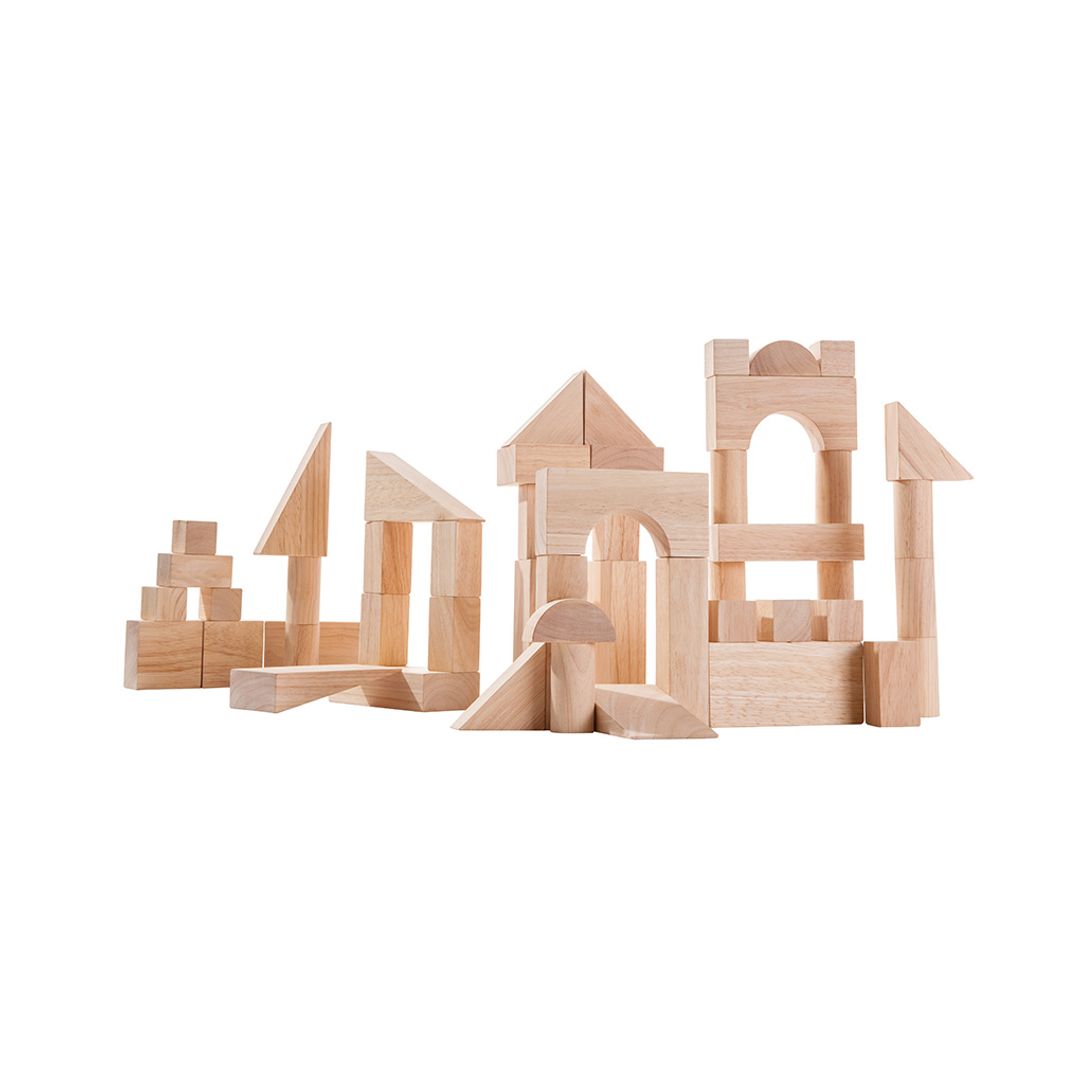 50 Unit Blocks - Wooden Toy Set