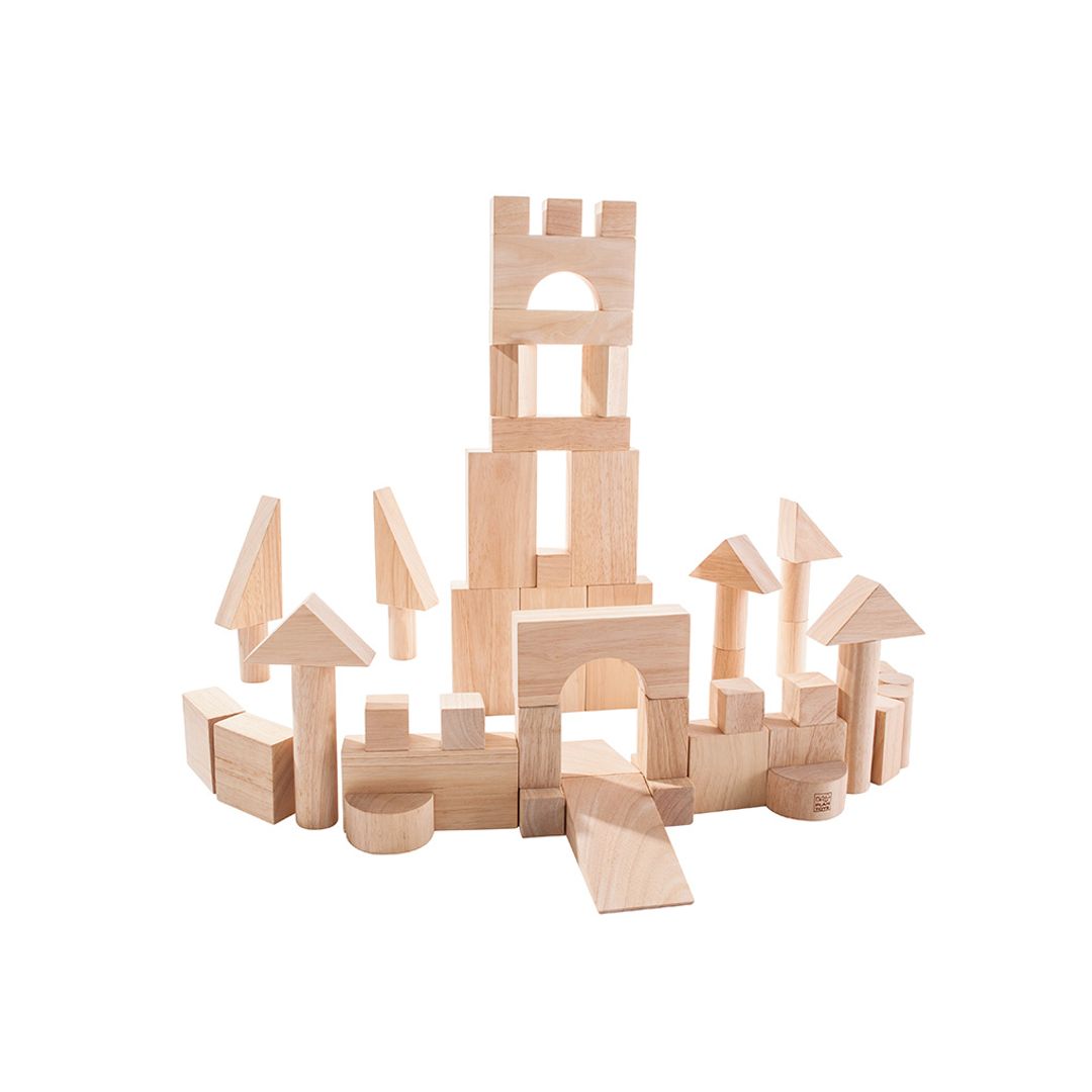 50 Unit Blocks - Wooden Toy Set