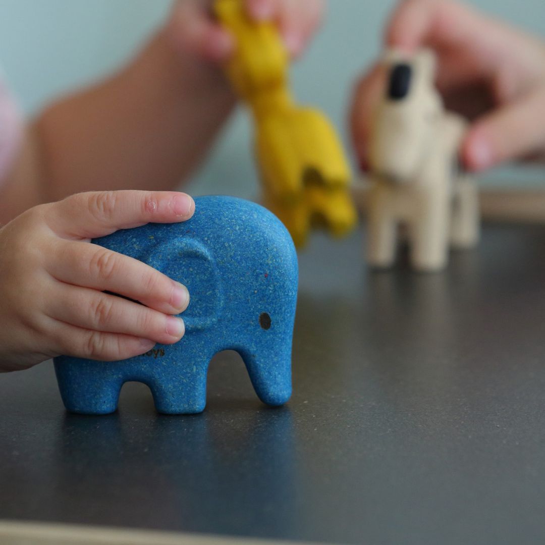 Wooden Toy Wild Animals Set