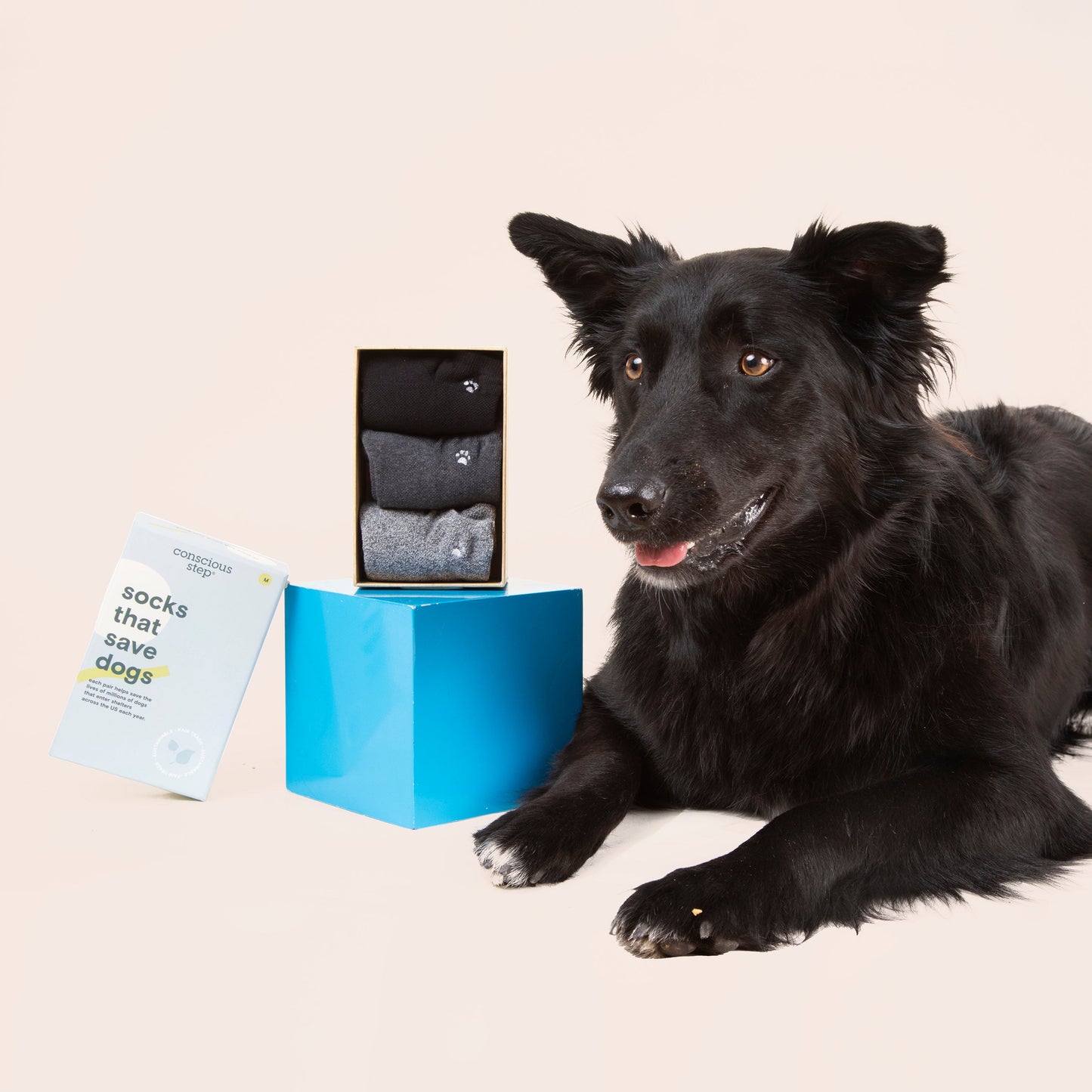 Adult Socks that Save Dogs