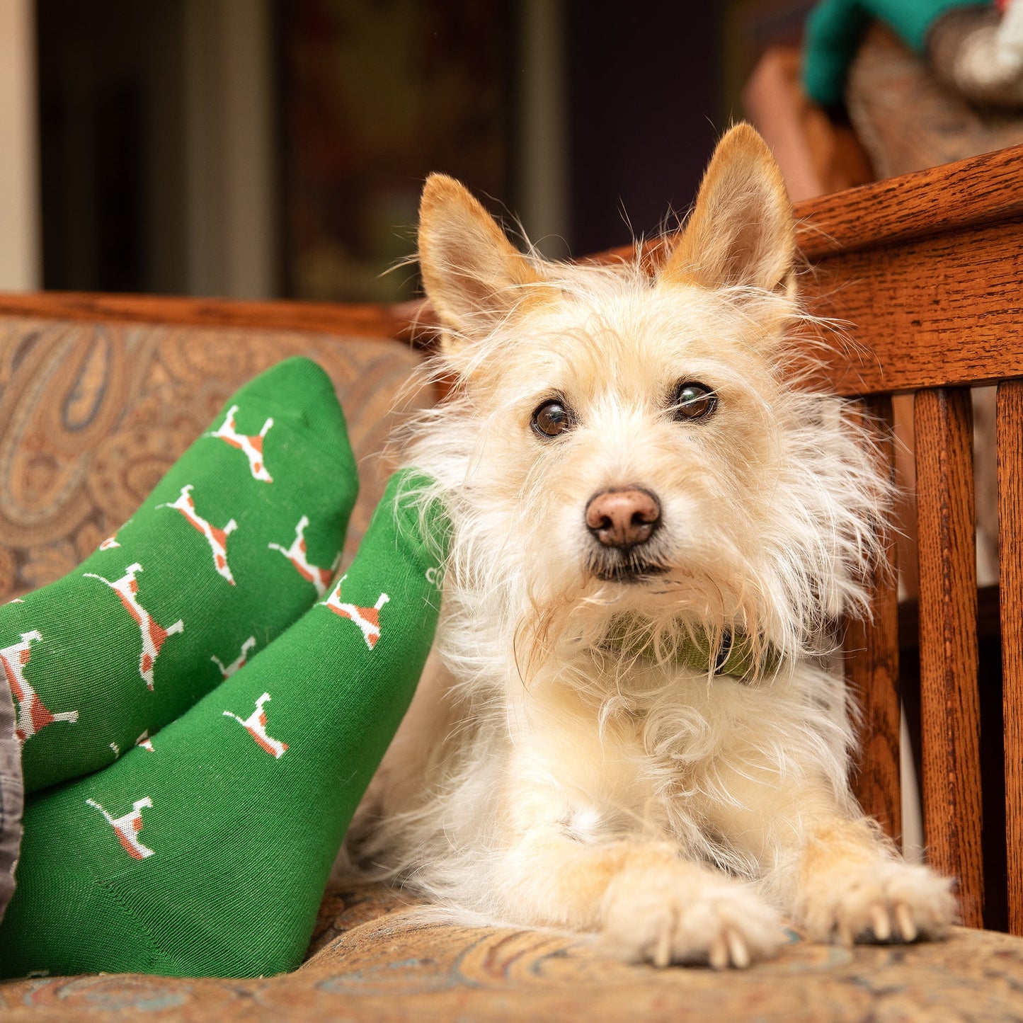 Adult Socks Save Dogs Gift Box
