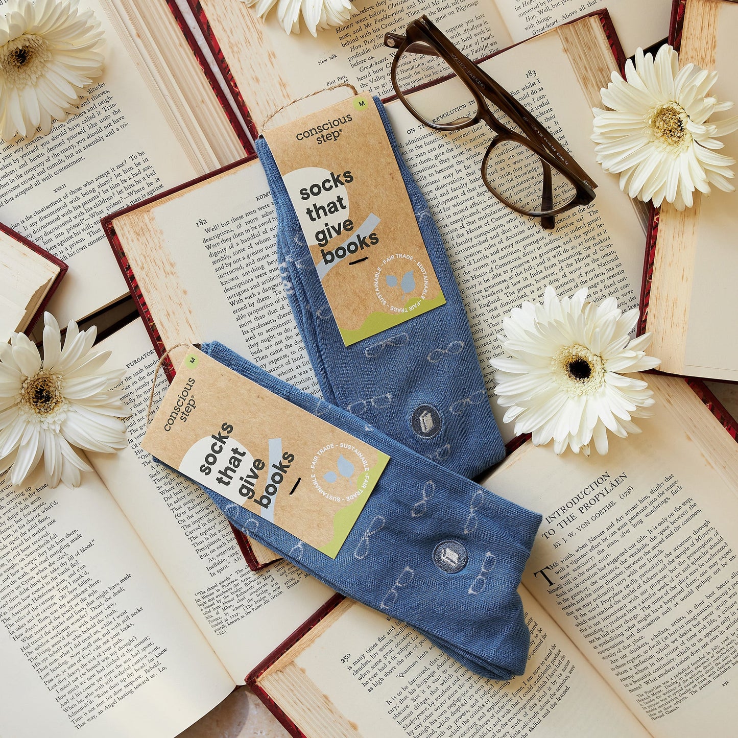 Adult Socks that Give Books
