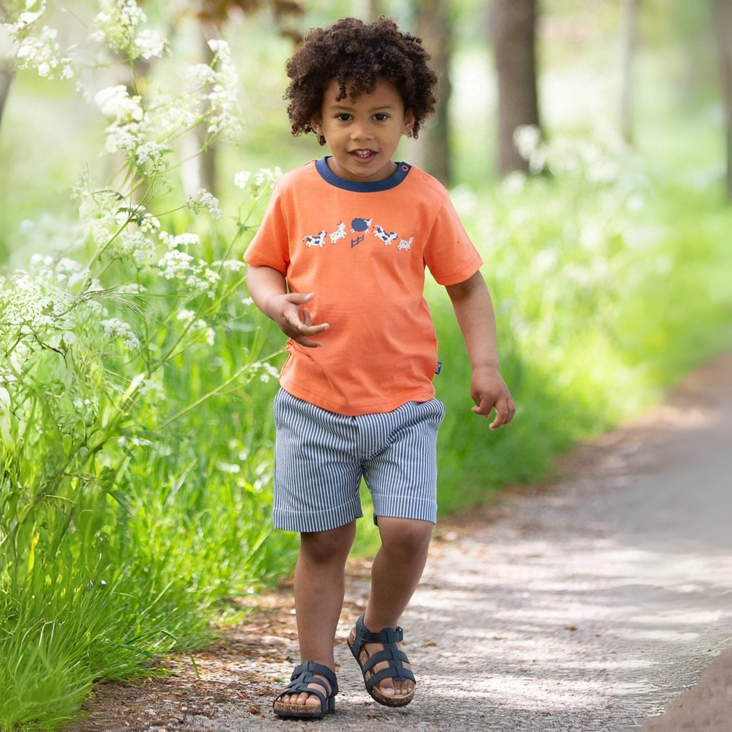 Organic Toddler & Kid Boys Ticking Shorts