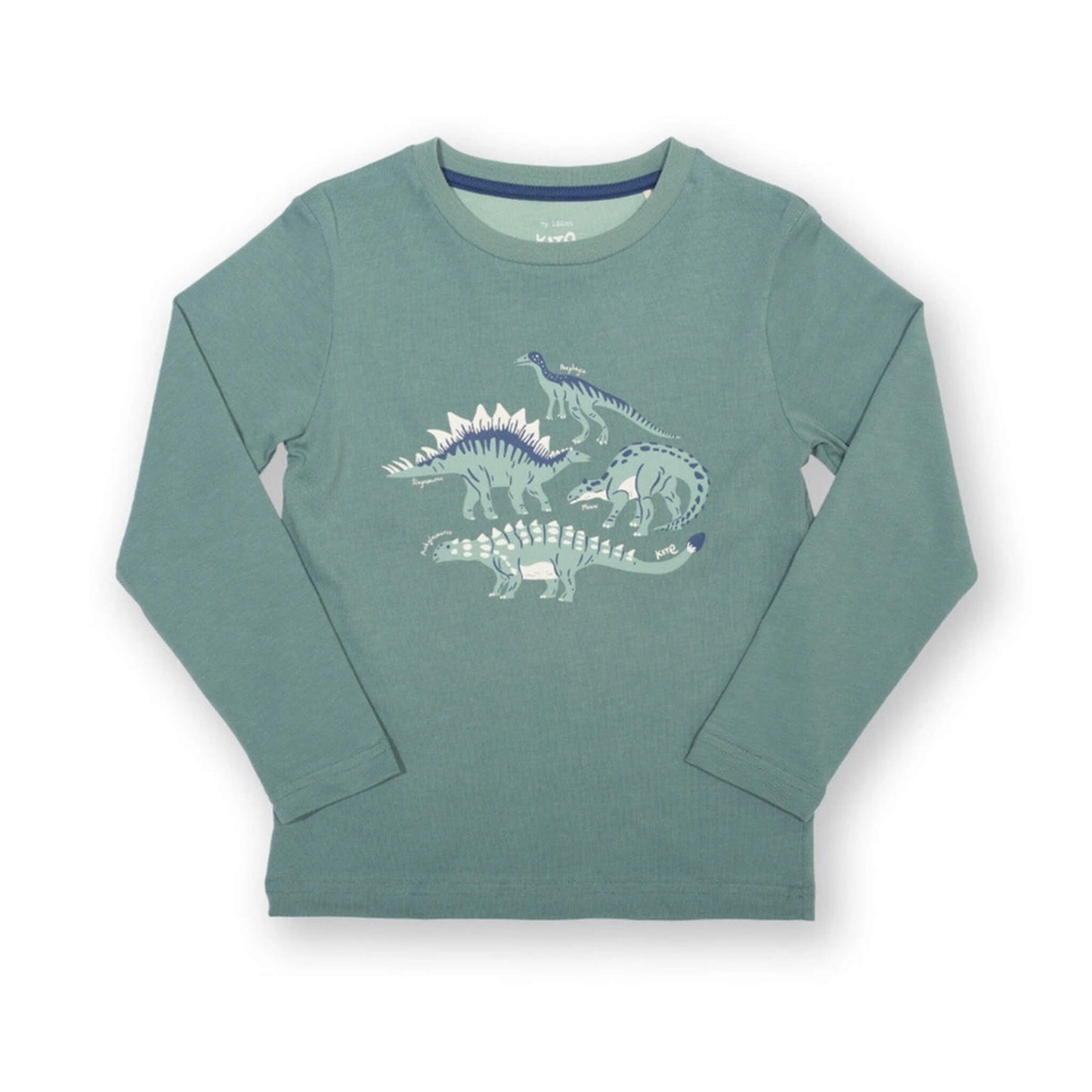 Organic Toddler & Kid Boys Veggie Dinos Shirt