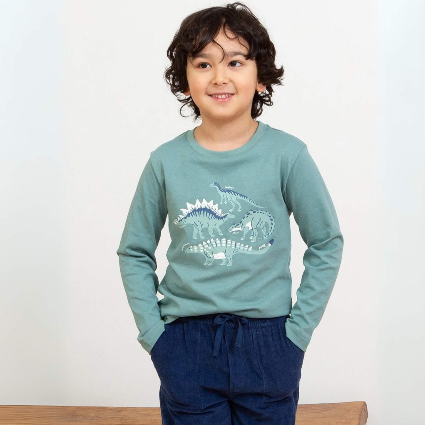 Organic Toddler & Kid Boys Veggie Dinos Shirt