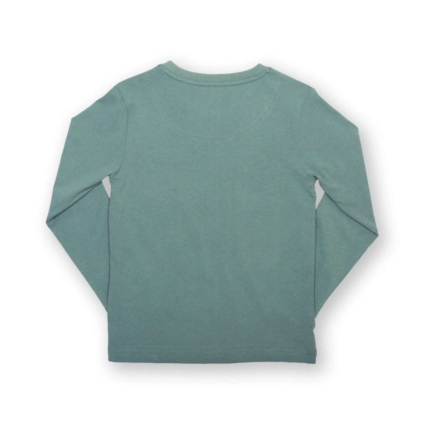 Organic Toddler & Kid Boys Veggie Dinos Shirt