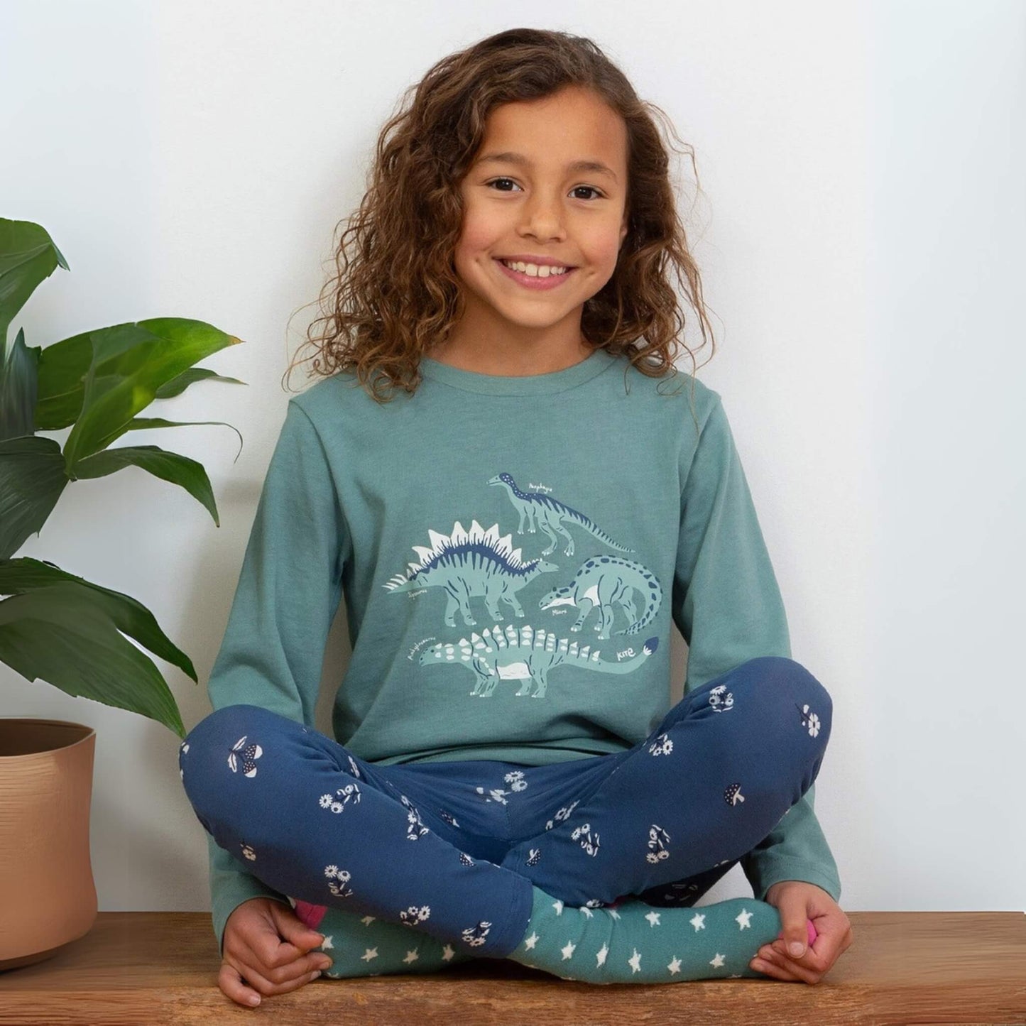 Organic Toddler & Kid Boys Veggie Dinos Shirt