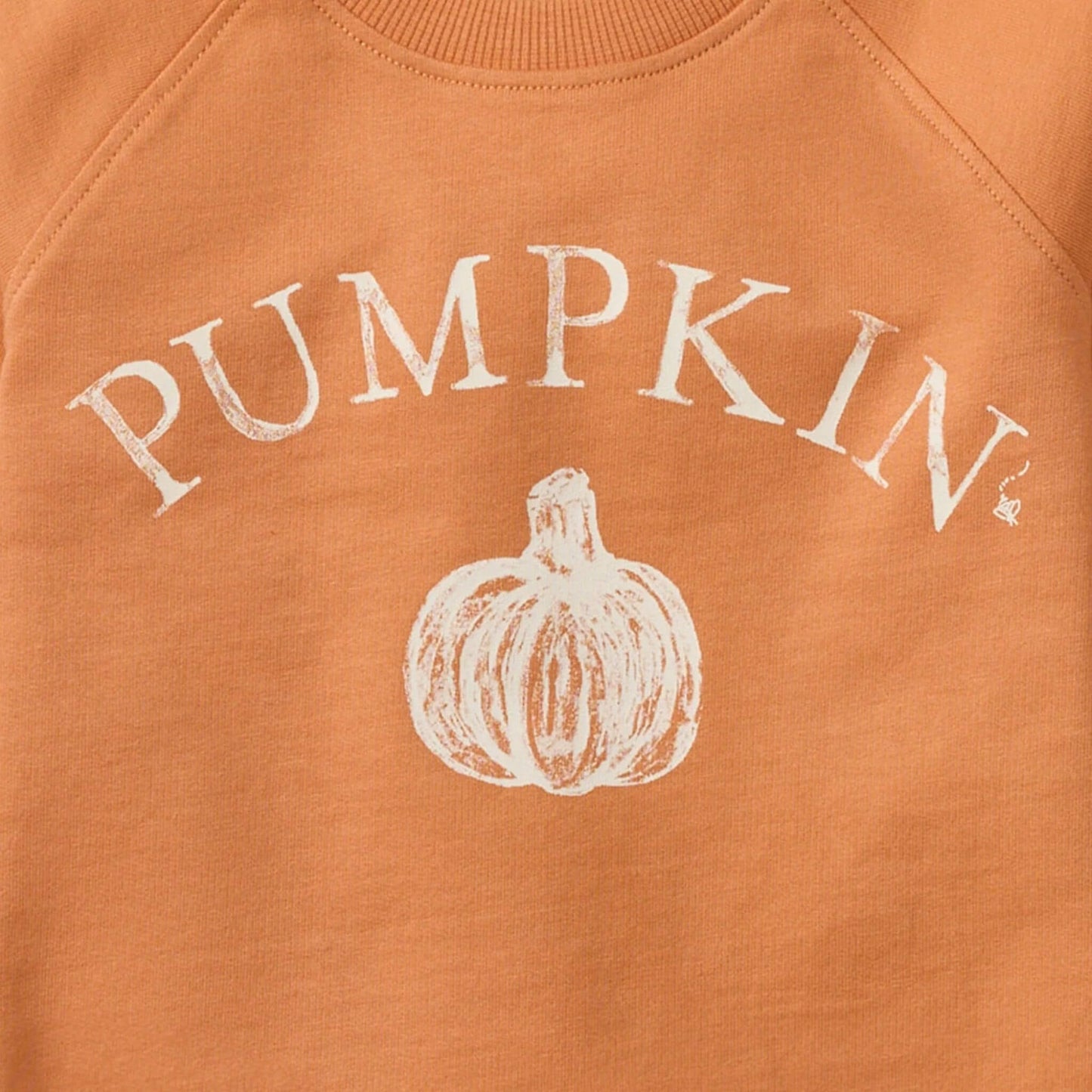 Pumpkin Organic Cotton Baby & Toddler Sweatshirt