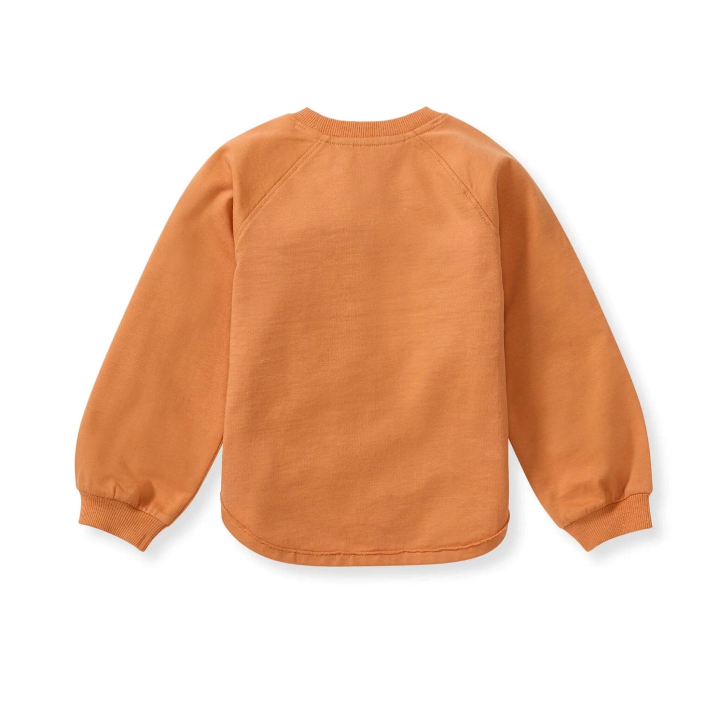 Pumpkin Organic Cotton Baby & Toddler Sweatshirt