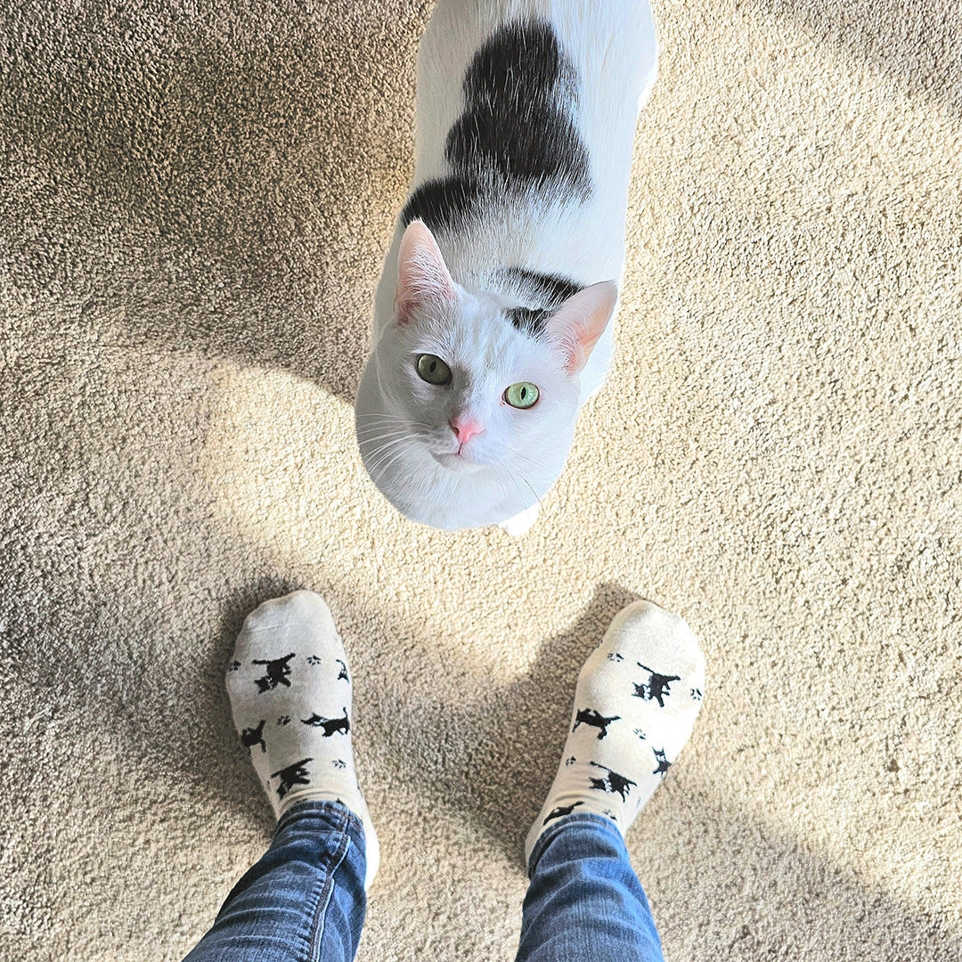 Adult Socks that Save Cats