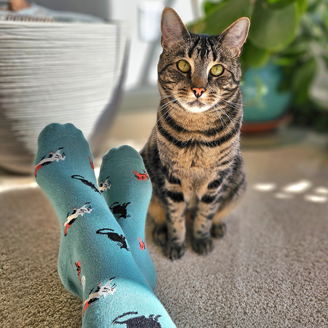 Adult Socks that Save Cats