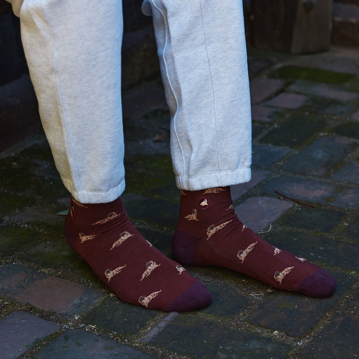 Adult Socks that Protect Walruses