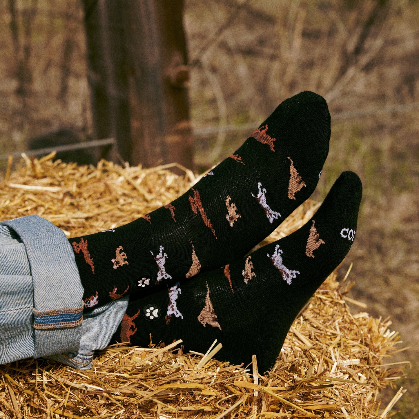Adult Socks that Save Dogs