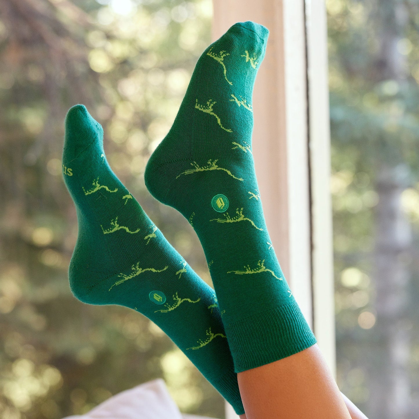 Adult Socks that Give Books