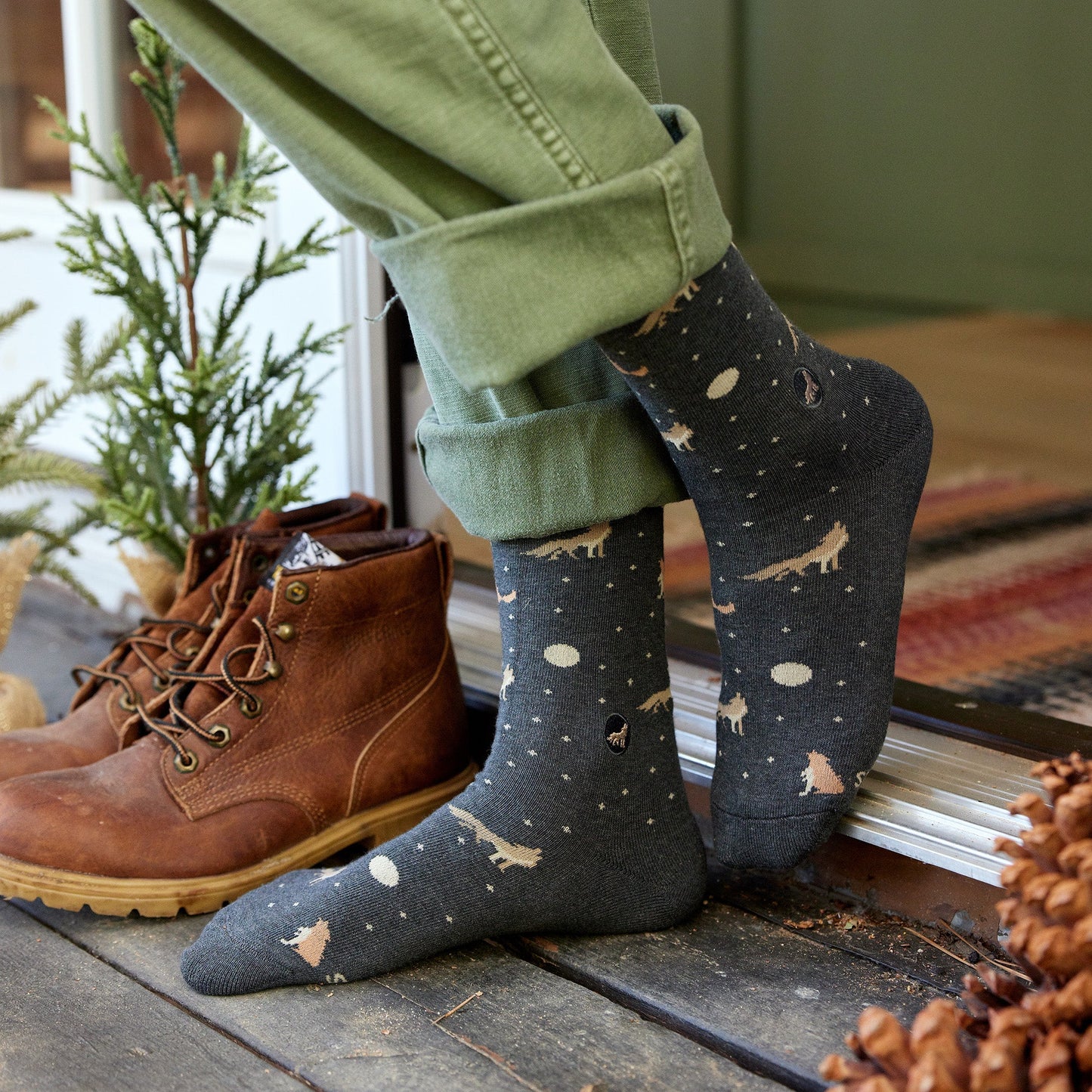 Protect National Parks Adult Socks Gift Box