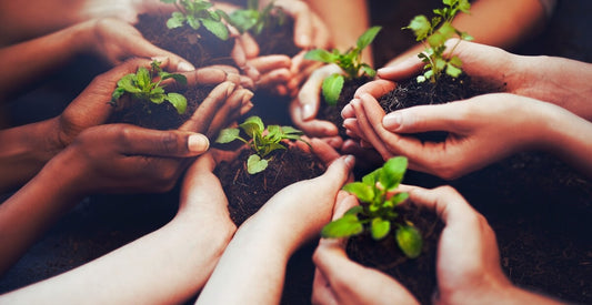 Earth Day 2025: How to Celebrate with Kids