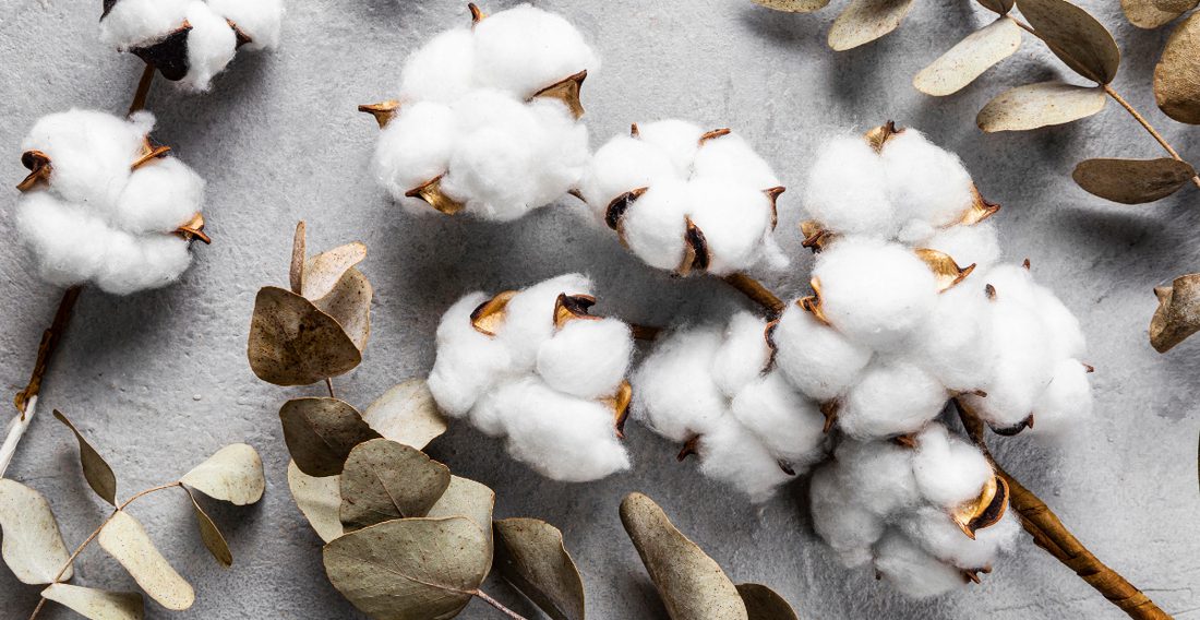 13 Reasons to Shop (GOTS Certified) Organic Cotton