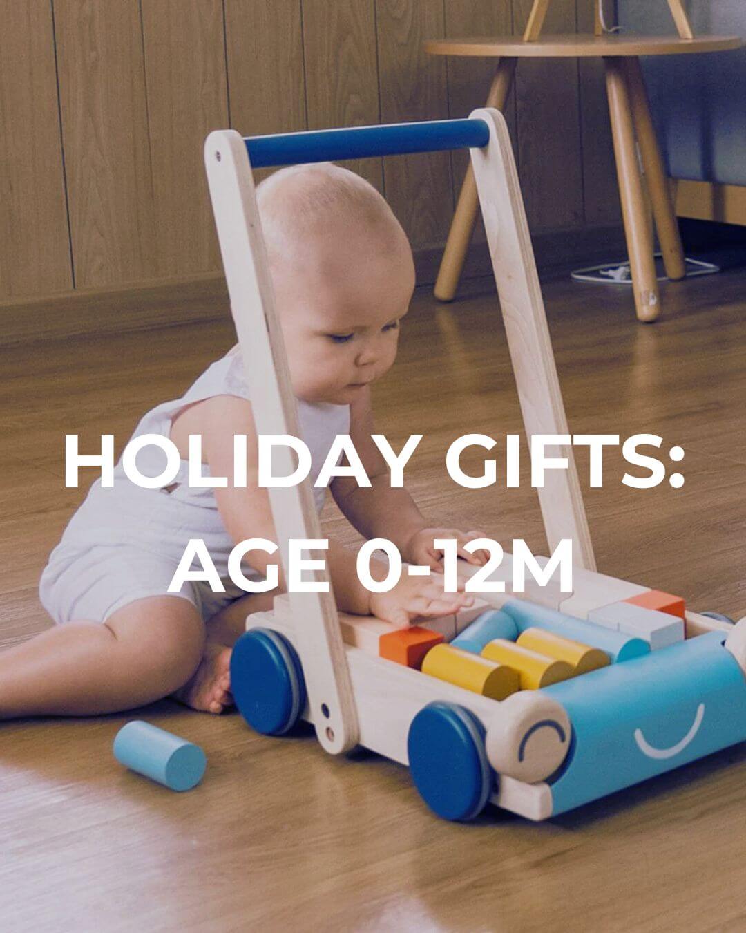 Baby's First Holiday Gifts - Age 0-12M
