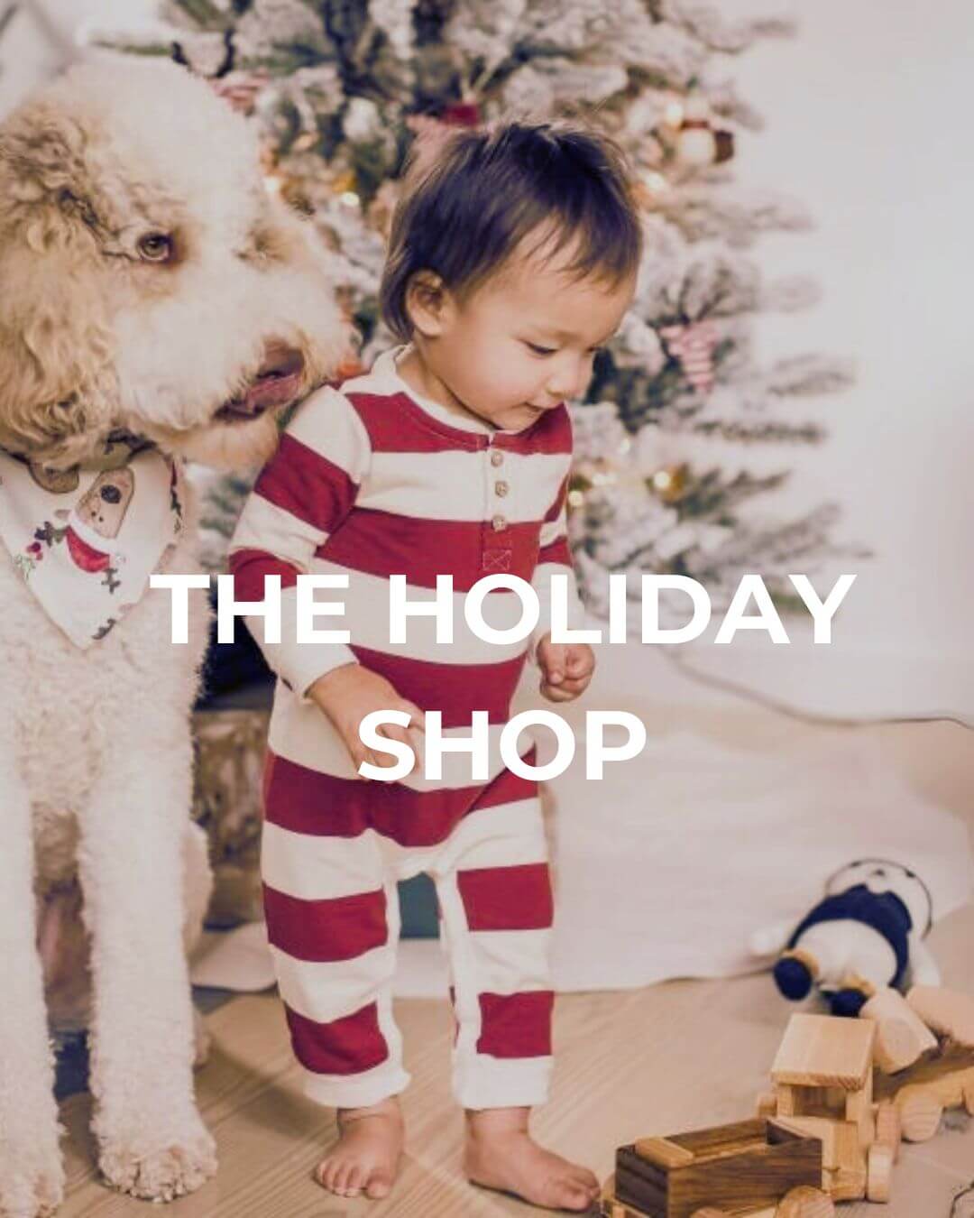 The Holiday Shop