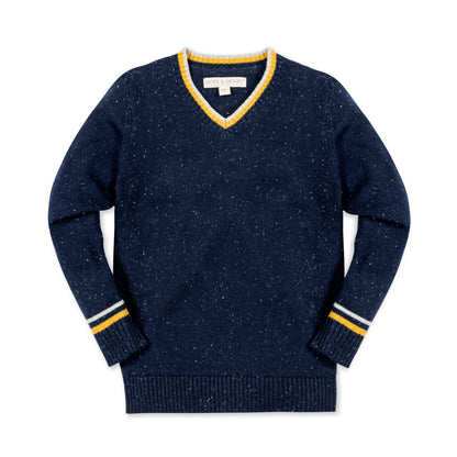 Boys Organic V-Neck Sweater