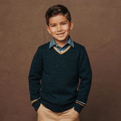 Boys Organic V-Neck Sweater