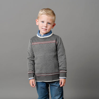 Boys Organic Intarsia Crew Neck Sweater