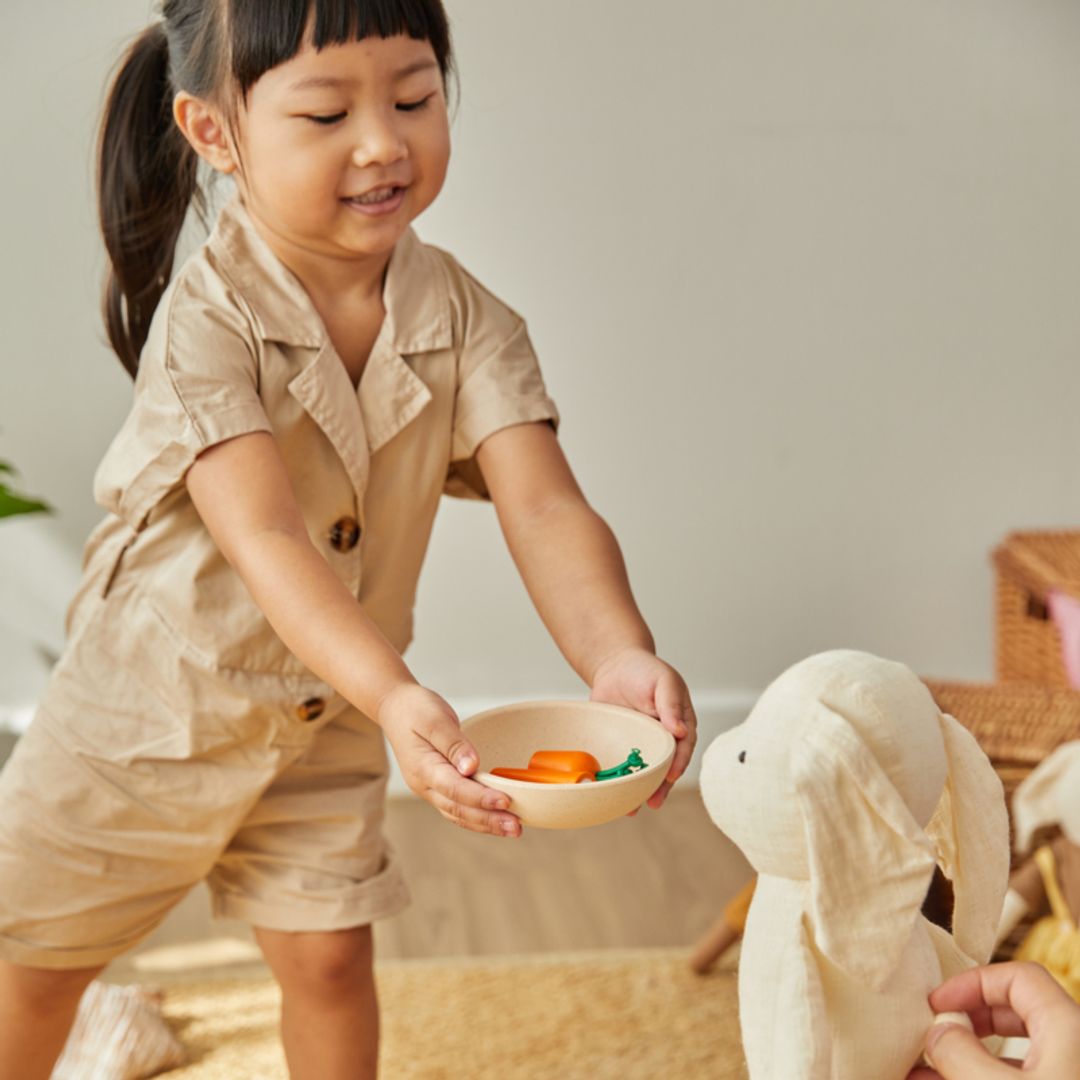 Wooden Toy Tableware Set