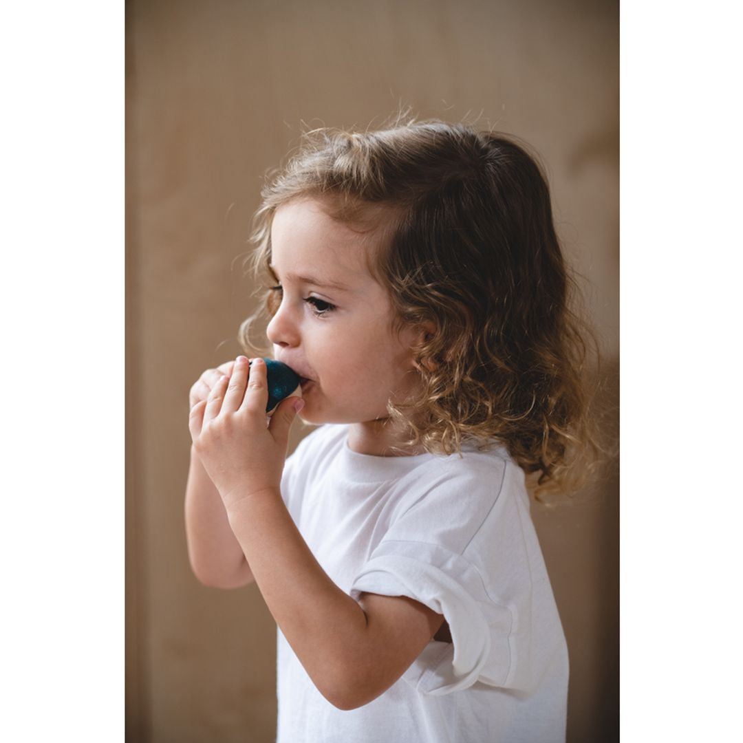 Wooden Toy Whale Whistle