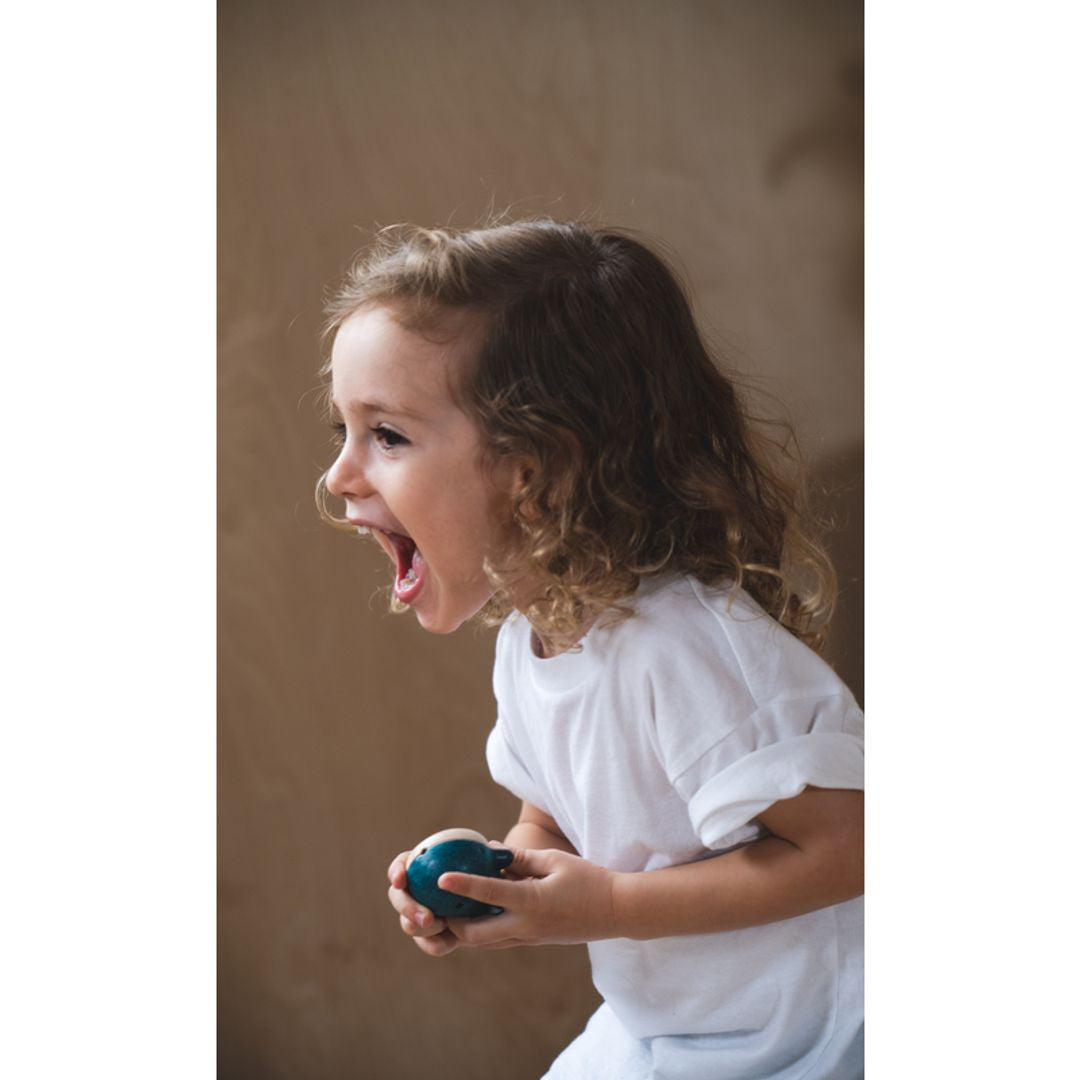 Wooden Toy Whale Whistle