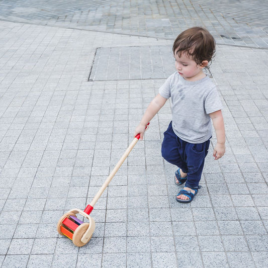 Wooden Toy Walk N Roll