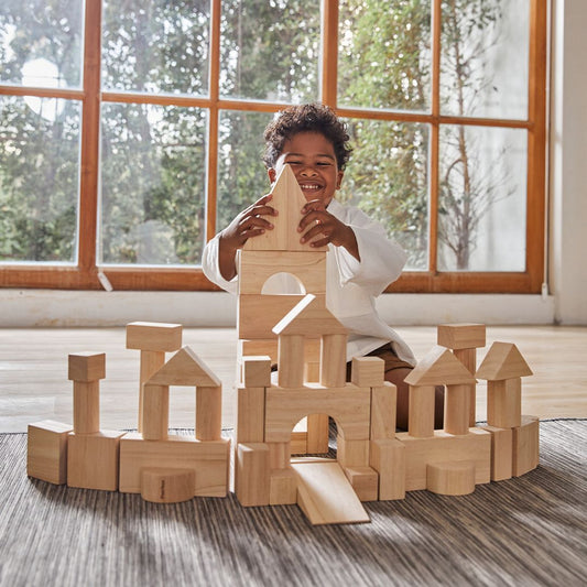 50 Unit Blocks - Wooden Toy Set