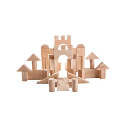 50 Unit Blocks - Wooden Toy Set