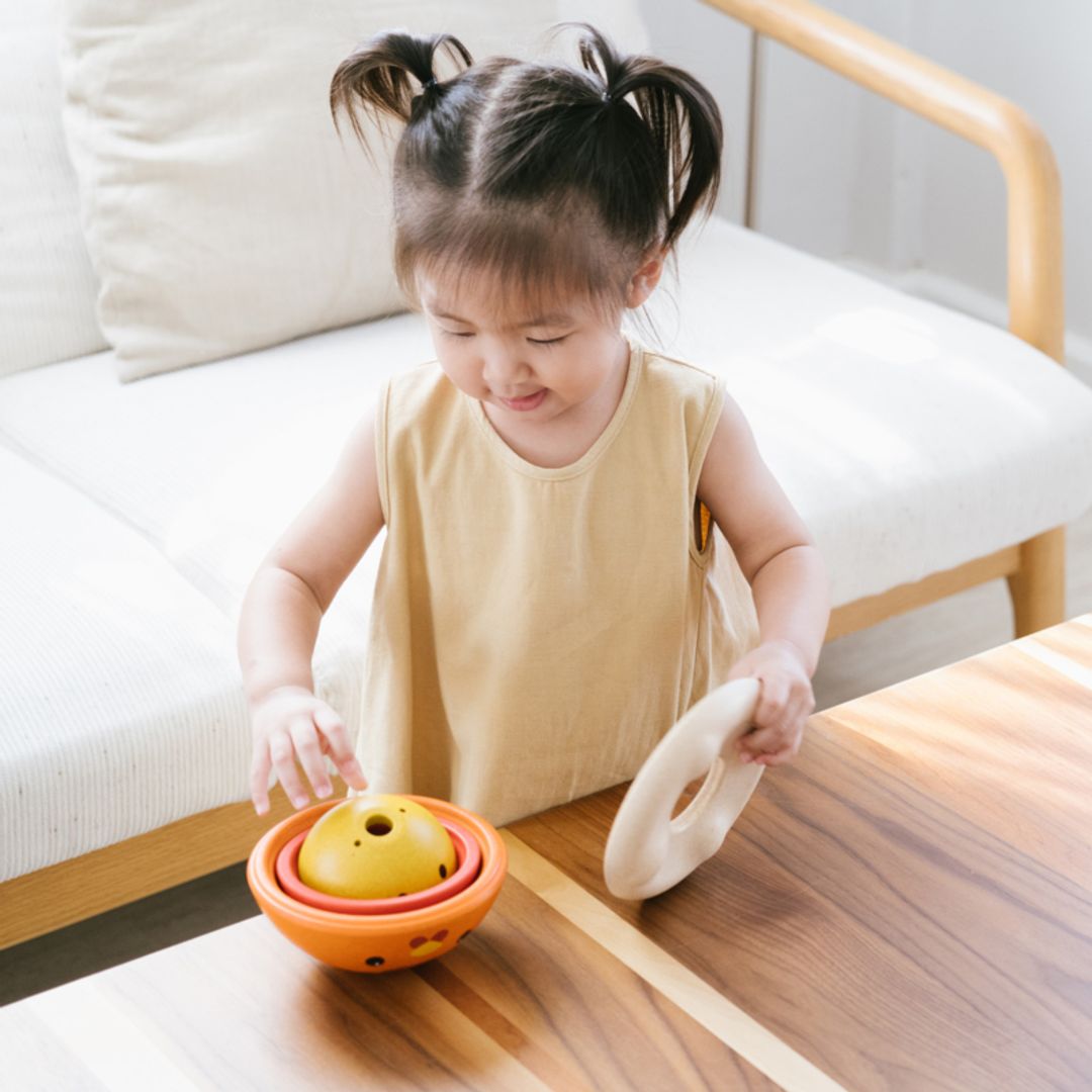 Chicken Nesting Toy
