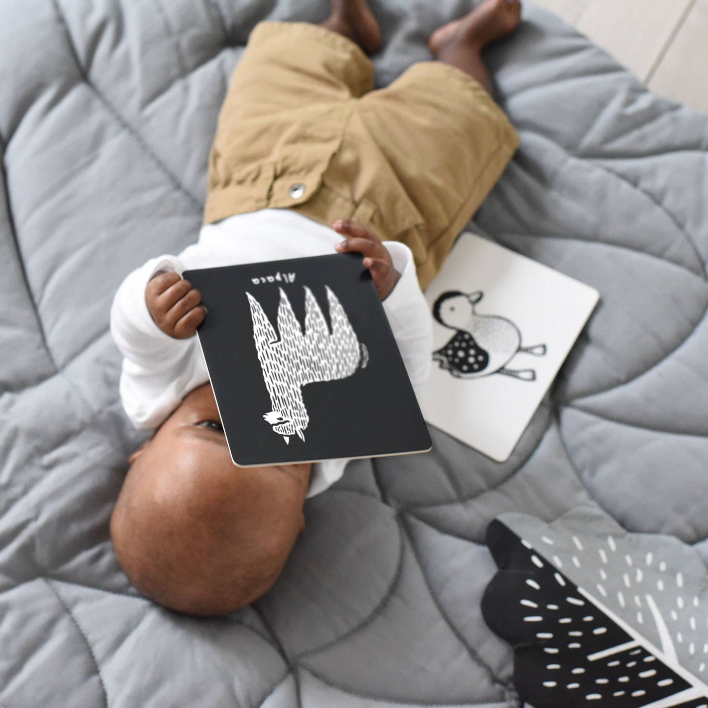 Little Naturalist Gift Set - Baby Animals