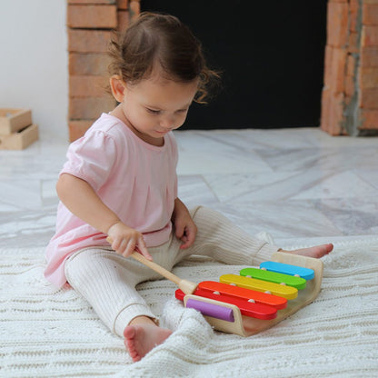 Wooden Toy Oval Xylophone